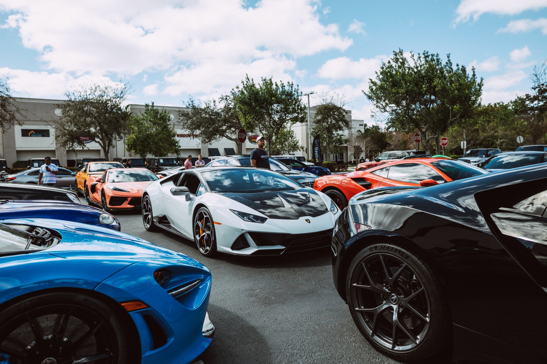 Exotic lineup β HGreg Lux meet