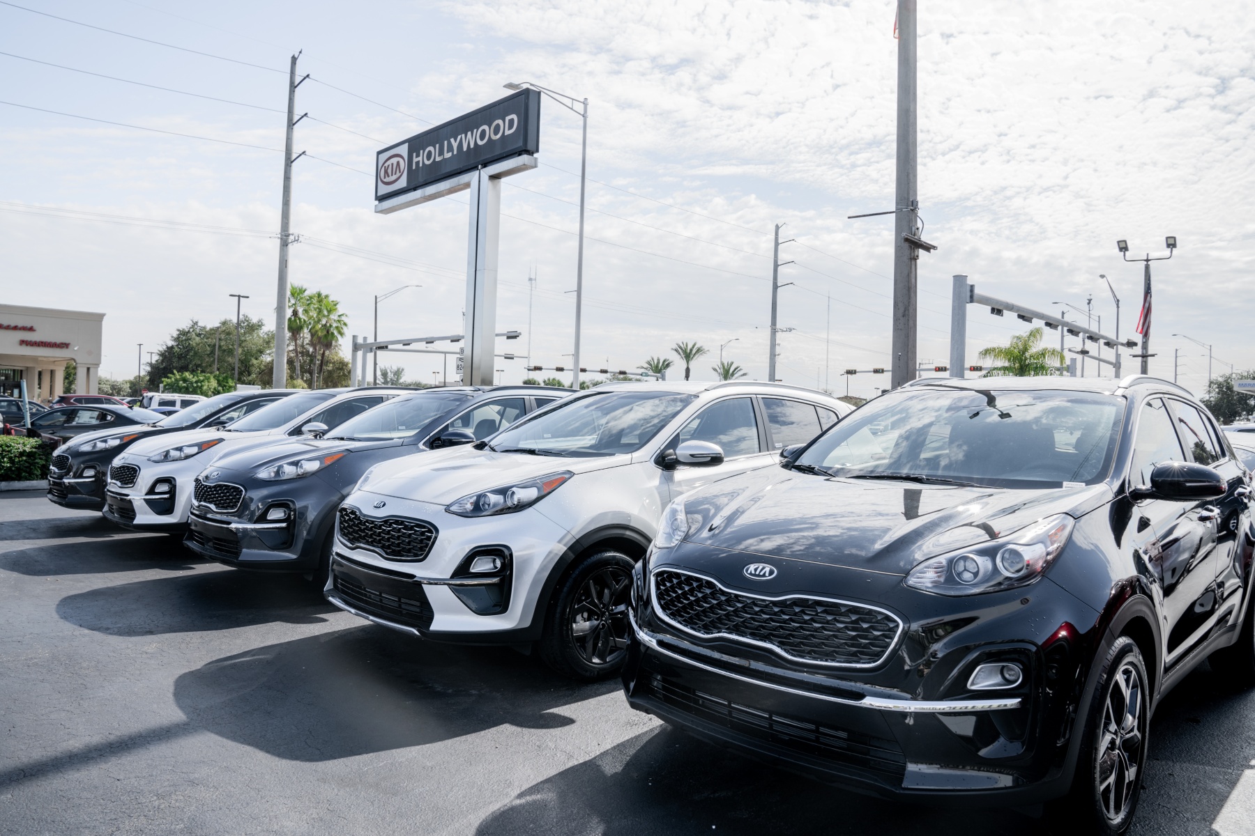 Hollywood Kia β front lot lineup